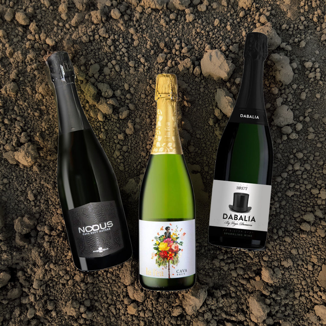 Španielske bublinky – 3 šumivé vína typu Cava